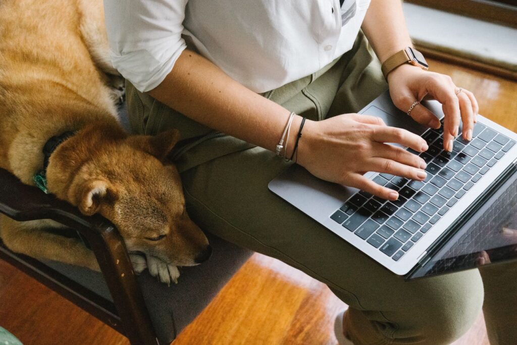 Henkilö istuu kannettava tietokone sylissään koira vierellään.